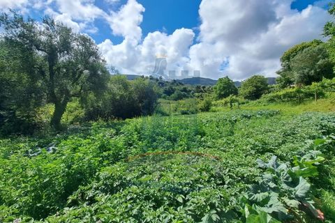 Farm i Gondufe, Viana do Castelo, Gondufe - € 150.000 | Ref: TL054 - foto 14