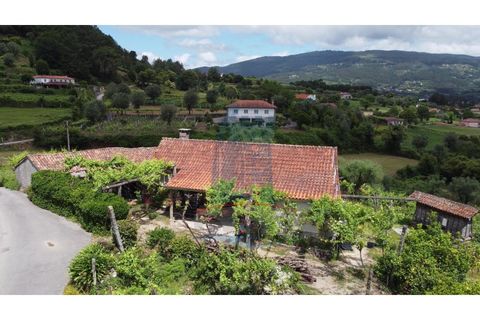 Farm i Gondufe, Viana do Castelo, Gondufe - € 150.000 | Ref: TL054 - foto 15