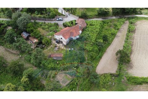 Farm i Gondufe, Viana do Castelo, Gondufe - € 150.000 | Ref: TL054 - foto 16