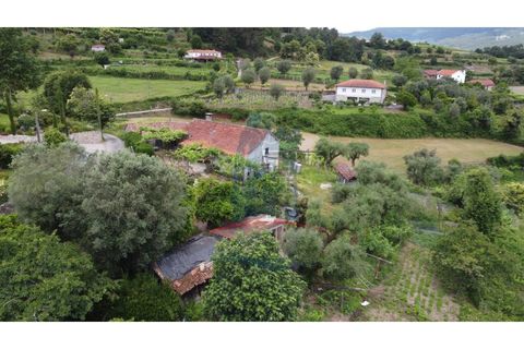 Farm i Gondufe, Viana do Castelo, Gondufe - € 150.000 | Ref: TL054 - foto 17
