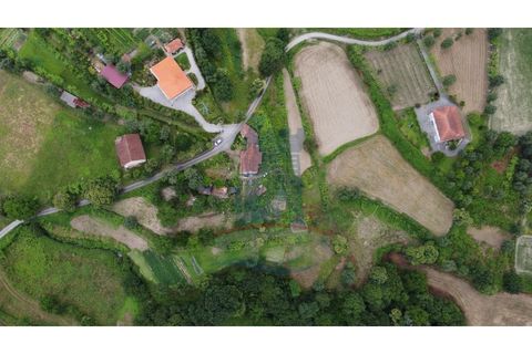 Farm i Gondufe, Viana do Castelo, Gondufe - € 150.000 | Ref: TL054 - foto 18