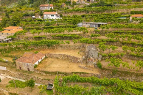Villa i Penhalonga e Pacos de Gaiolo, Porto, Penhalonga e Pacos de Gaiolo - € 32.500 | Ref: C0471-00487 - foto 4