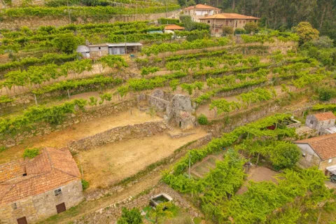 Villa i Penhalonga e Pacos de Gaiolo, Porto, Penhalonga e Pacos de Gaiolo - € 32.500 | Ref: C0471-00487 - foto 6