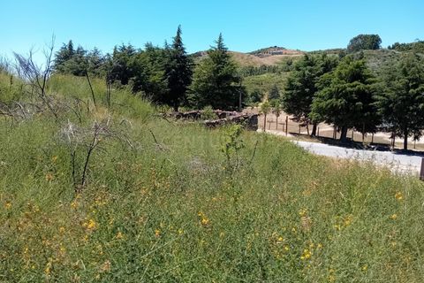 Villa i Baiao, Porto, Baiao - € 51 500 | Ref: C0471-00489 - foto 8