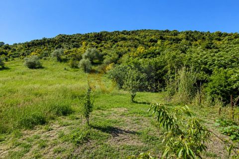 Terra a Codrongianos, Sassari, Codrongianos - € 27.000 | Ref: 14034 - foto 2
