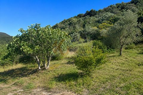 Terra a Codrongianos, Sassari, Codrongianos - € 27.000 | Ref: 14034 - foto 3