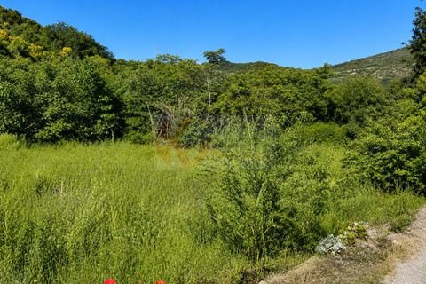 Terra a Codrongianos, Sassari, Codrongianos - € 27.000 | Ref: 14034 - foto 5