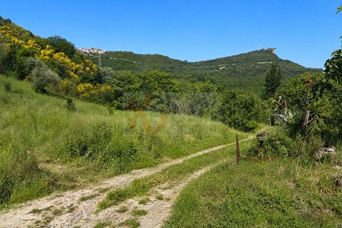 Terra a Codrongianos, Sassari, Codrongianos - € 27.000 | Ref: 14034 - foto 7