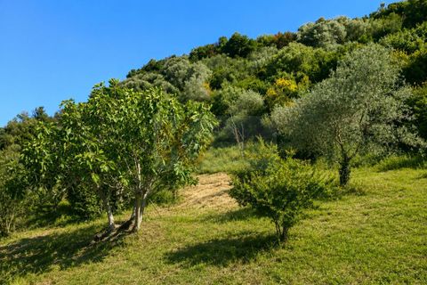 Terra a Codrongianos, Sassari, Codrongianos - € 27.000 | Ref: 14034 - foto 8