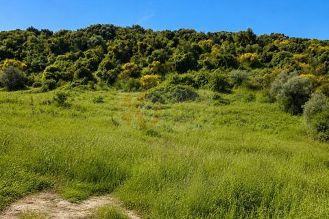 Terra a Codrongianos, Sassari, Codrongianos - € 27.000 | Ref: 14034 - foto 9