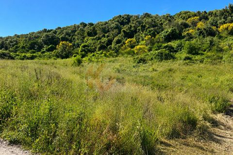Terra a Codrongianos, Sassari, Codrongianos - € 27.000 | Ref: 14034 - foto 10