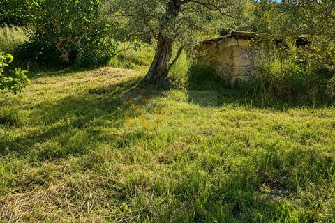 Terra a Codrongianos, Sassari, Codrongianos - € 27.000 | Ref: 14034 - foto 11