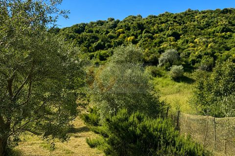 Terra a Codrongianos, Sassari, Codrongianos - € 27.000 | Ref: 14034 - foto 14