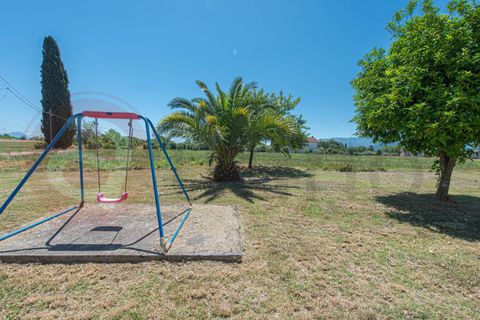 Villa i Pontecorvo, Frosinone, Pontecorvo - € 140.000 | Ref: AC99-149-1774 - foto 10