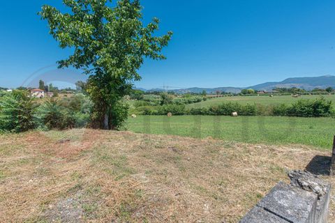 Villa i Pontecorvo, Frosinone, Pontecorvo - € 140.000 | Ref: AC99-149-1774 - foto 11