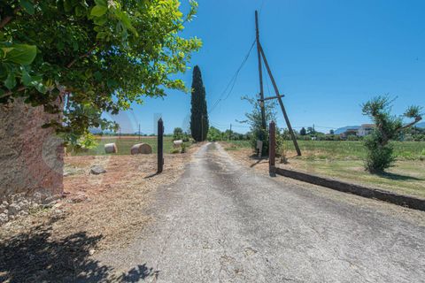 Villa i Pontecorvo, Frosinone, Pontecorvo - € 140.000 | Ref: AC99-149-1774 - foto 12