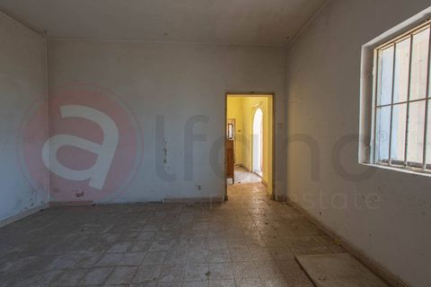 Villa i Pontecorvo, Frosinone, Pontecorvo - € 140.000 | Ref: AC99-149-1774 - foto 49