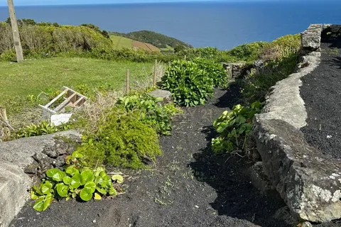 Villa i Lajes do Pico, Pico, Lajes do Pico - € 260.000 | Ref: C0423-00776 - foto 2
