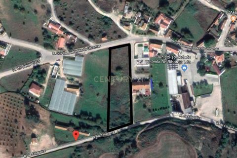 Helårsgrund i Rio Maior, Santarem, Rio Maior - € 60.000 | Ref: C0364-04348 - foto 1