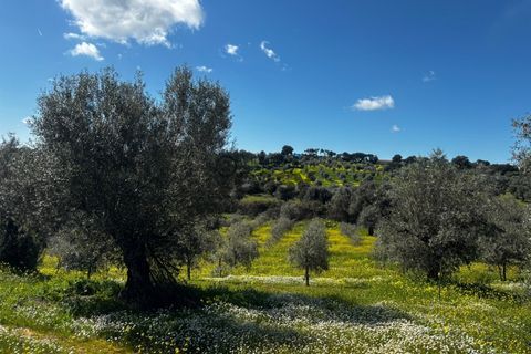 Helårsgrund i Portel, Evora, Portel - € 92.500 | Ref: 531521010 - foto 1