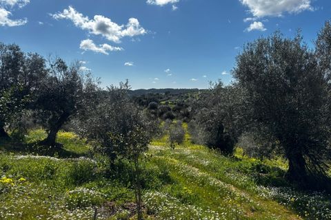 Helårsgrund i Portel, Evora, Portel - € 92.500 | Ref: 531521010 - foto 2