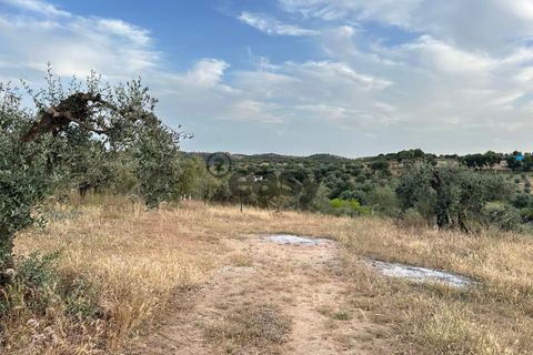 Helårsgrund i Portel, Evora, Portel - € 92.500 | Ref: 531521010 - foto 8