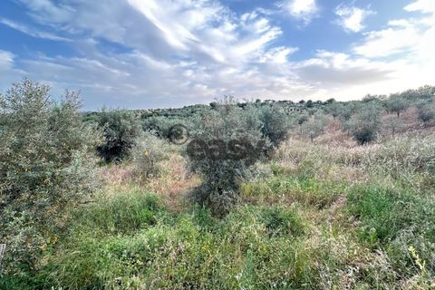 Helårsgrund i Portel, Evora, Portel - € 92.500 | Ref: 531521010 - foto 10