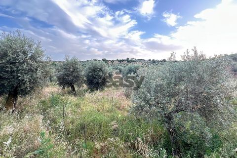 Helårsgrund i Portel, Evora, Portel - € 92.500 | Ref: 531521010 - foto 11