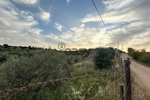Helårsgrund i Portel, Evora, Portel - € 92.500 | Ref: 531521010 - foto 12