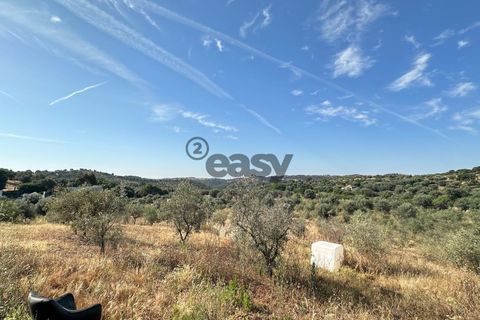 Helårsgrund i Portel, Evora, Portel - € 92.500 | Ref: 531521010 - foto 15