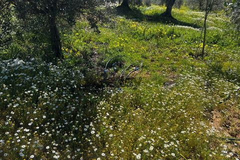 Helårsgrund i Portel, Evora, Portel - € 92.500 | Ref: 531521010 - foto 21
