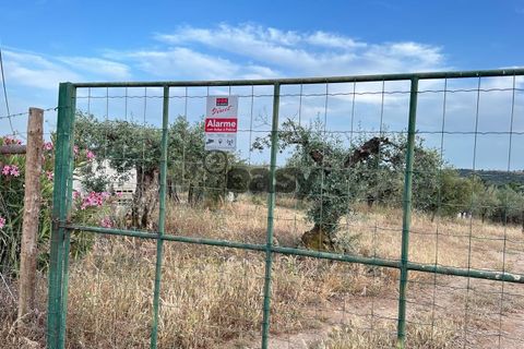 Helårsgrund i Portel, Evora, Portel - € 92.500 | Ref: 531521010 - foto 22
