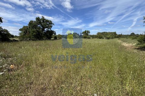 Terreno en Fatima, Santarem, Fatima - € 95.000 | Ref: LIZ-216696 - photo 8