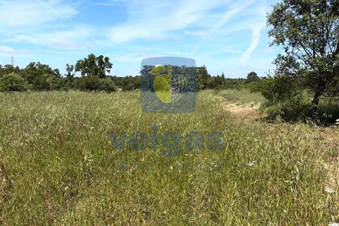 Terreno en Fatima, Santarem, Fatima - € 95.000 | Ref: LIZ-216696 - photo 9