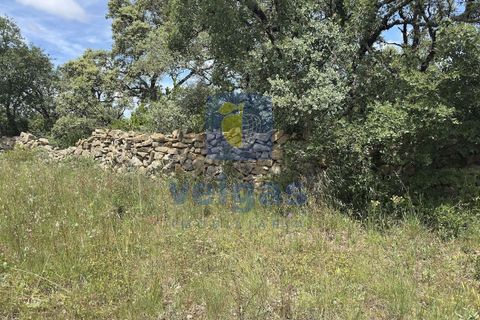 Terreno en Fatima, Santarem, Fatima - € 95.000 | Ref: LIZ-216696 - photo 10