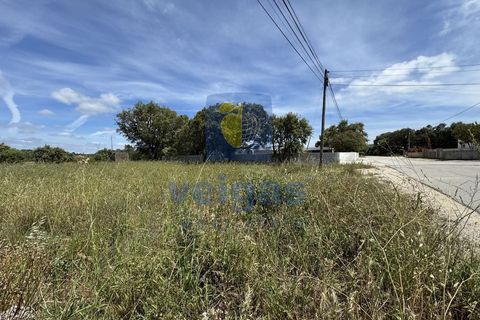Terreno en Fatima, Santarem, Fatima - € 95.000 | Ref: LIZ-216696 - photo 11