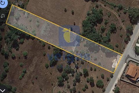 Terreno en Fatima, Santarem, Fatima - € 95.000 | Ref: LIZ-216696 - photo 13