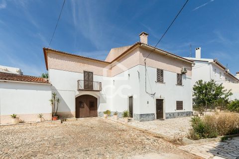 Villa - Borba, Evora, Borba - € 400 000 | Réf : 318/M/03845 - photo 2
