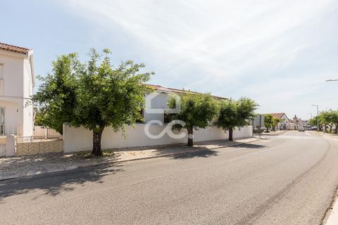 Villa - Borba, Evora, Borba - € 400 000 | Réf : 318/M/03845 - photo 5