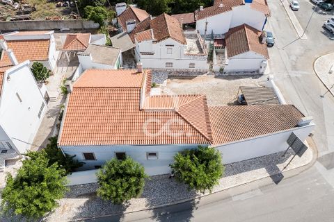 Villa - Borba, Evora, Borba - € 400 000 | Réf : 318/M/03845 - photo 36