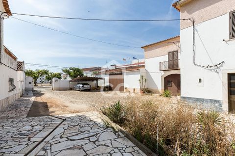 Villa - Borba, Evora, Borba - € 400 000 | Réf : 318/M/03845 - photo 40