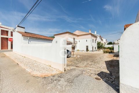 Villa - Borba, Evora, Borba - € 400 000 | Réf : 318/M/03845 - photo 43