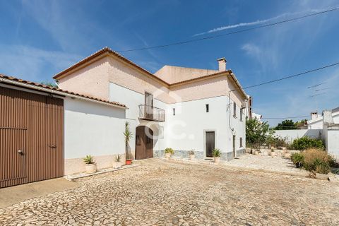 Villa - Borba, Evora, Borba - € 400 000 | Réf : 318/M/03845 - photo 47
