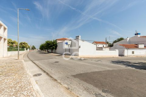 Villa - Borba, Evora, Borba - € 400 000 | Réf : 318/M/03845 - photo 50