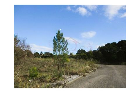 Helårsgrund i Abrantes, Santarem, Abrantes - € 548.000 | Ref: SÒL_500 - foto 6