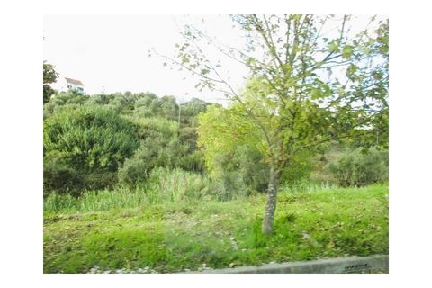 Helårsgrund i Abrantes, Santarem, Abrantes - € 548.000 | Ref: SÒL_500 - foto 9