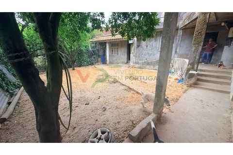 Villa i Mealhada, Aveiro, Mealhada - € 240.000 | Ref: HAB_309 - foto 4