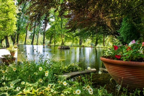 Farm i Amares, Braga, Amares - € 2.450.000 | Ref: 212184 - foto 14