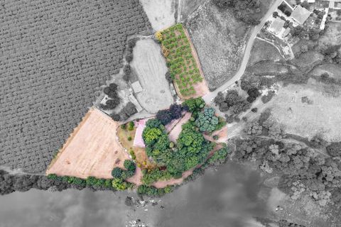 Farm i Amares, Braga, Amares - € 2.450.000 | Ref: 212184 - foto 27