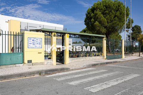 Reihenhaus in Castelo Branco, Castelo Branco, Castelo Branco - € 41.900 | Ref: PP4772 - Foto 24